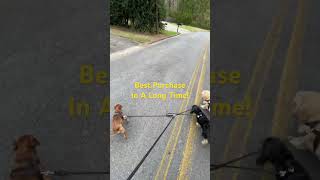 3 Dog Leash - Multi Dog Leash Review