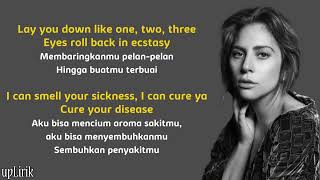 Lady Gaga - DISEASE (Lirik dan Terjemahan)