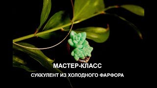 Мастер класс лепим суккулент из домашнего холодного фарфора  Рецепт фарфора