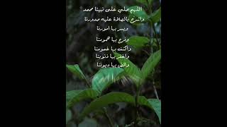 #صلوا_على_النبي#عليه_الصلاة_والسلام