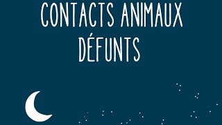 contacts animaux défunts