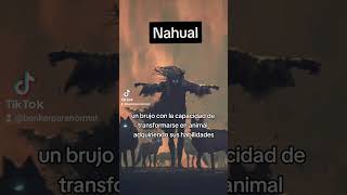 El nahual, un hombre con la capacidad de convertirse en una bestia, adquiriendo sus habilidades...