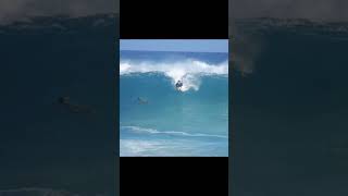 hawaii fun? sandys wipeout