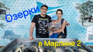 Озерки в Марлине 2, карповое эльдорадо!