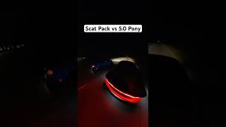 Scat Pack vs 5.0 Pony😈