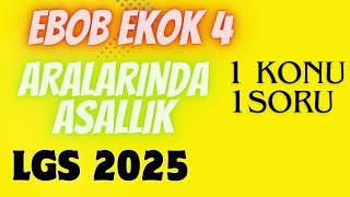 LGS 2025 HAZIRLIK / EBOB EKOK (4) / ARALARINDA ASALLIK / 1 KONU 1 SORU #lgs #lgs2025