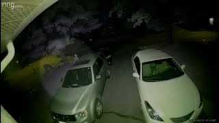 RAW: Caught on camera: Alleged thief snooping around parked cars