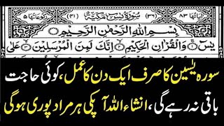 If you recite || Surah Yasin || for just one day || Inshallah, all your wishes will be fulfilled.