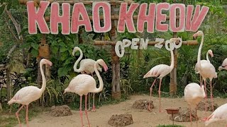 Наша Паттайя и поход в Khao Kheow Open Zoo (поездка из Хуахина)