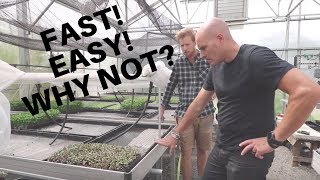 Something Every Microgreen Grower Should Be Doing??? (FAST, EASY, AUTOMATIC)