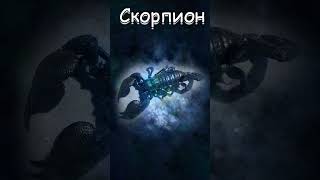 Гороскоп: ♏Скорпион (23.01) #shorts #гороскоп