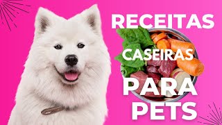 Receita de Comida para Cães - Receitas Caseiras Nutritivas