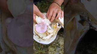 Pearls in Oyster || #short #shortvideo #gemstone #quartz #shorts #stone