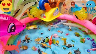 ANIMALS FOR TODDLERS: RED GURNARD, PORCUPINEFISH, BLUE RING OCTOPUS, AND OTHERS