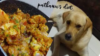 pathanu's diet || labrador homemade food || lab dog ||