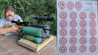 Ruger 10/22 Capitan America Challenge Sportsmans Class @Dayattherange