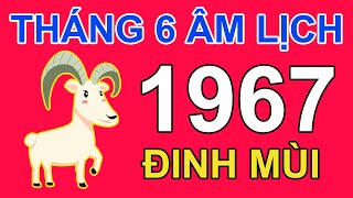 Tử Vi Tuổi Đinh Mùi 1967 Trong tháng 6 năm 2024 âm lịch Giáp Thìn | Triệu Phú Tử Vi