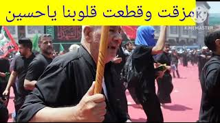 ركضة طويريج (عزاء طويريج) حفيد قارئ المقتل الحسيني الشيخ عبد الزهراء الكعبي