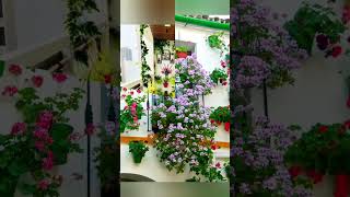 Balcony Makeover Ideas/Balcony Flower Garden Ideas