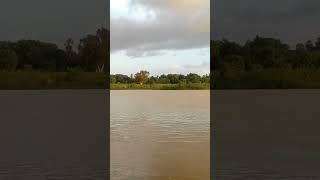 natural river Water waves  #natural #nature #river #waves #reels #reel #video #viralvideo #viral