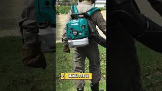 👉Top 5 Best backpack leaf blowers of 2023