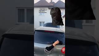 😁 Всі згодні? 🐶 #existua #funny #funnyvideos #shorts #automobile