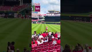 MLB Mascot calls his shot and hits a fan in the face #mlbb #baseball #sports #news #usa #espn #fun