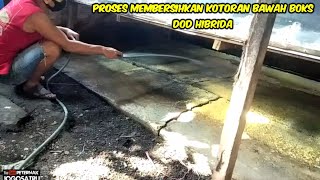 Proses membersihkan kotoran