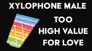 How To Be An Xylophone Male (In 10 Easy Steps)