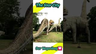 Hazaribag The Star City⭐️ 🥰💟 Our Love #jharkhandtourism #hazaribagh #ranchi #shorts #love #trending