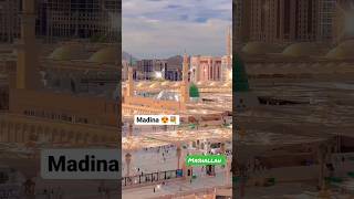 Beautiful view of ' Madina Shareef, New WhatsApp Status 2023 / #viral #youtubeshorts #naat #status