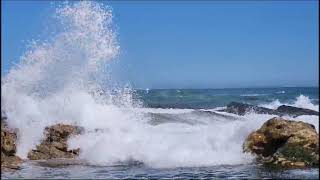 saunders lunchtime swim