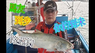 【香港釣魚】《馬友到步,你釣到未》有字幕