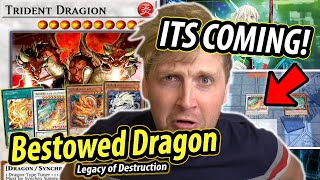 "ITS COMING!" - Tenpai Dragon 2024 DECK TESTING (Legacy of Destruction)