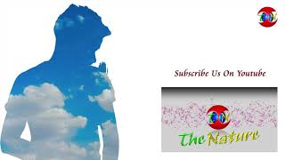 The Nature | Wild Life | Around You - Subscribe Our Channel THE NATURE