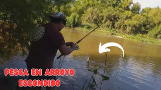 PESCA EN ARROYO ESCONDIDO-ARROYO BRAZO LARGO-DOMINGUEANDO-BOGA-DORADO-BAGRE-MOJARRA  #LOSPESCADORES