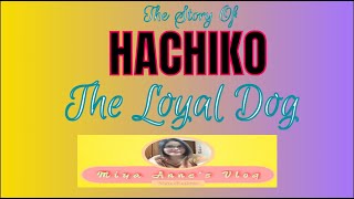 Story of Hachi