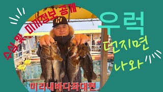 봄여름가을겨울 폭풍입질을 자랑하는 그곳! 미리내바다좌대낚시터!! (fishing)