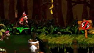 Super Donkey Kong Country 2