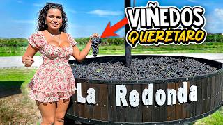 Ruta del Vino en Querétaro | Conociendo un viñedo 🍇 vendimia la redonda