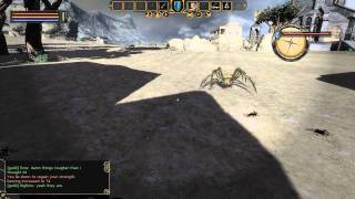 Fighting Spiders in Mortal Online