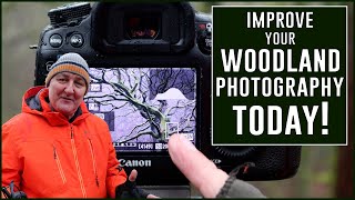 Improve your Woodland Photography today 2 GREAT IDEAS!