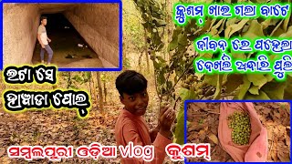 ଜୀବନରେ ପହେଲା ଦେଖିଲି ହାୱାଡା ପୋଲ୍ || ଇଟା କେ କହେସନ୍ ଅନ୍ଧାରି ବାଞ୍ଜି || Star9