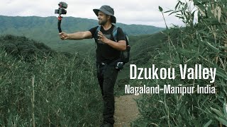 Dzukou Valley Nagaland - Manipur Border | Northeast India