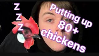 Closing up 80+ chickens for the night