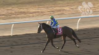 NT Derby 2024 - MASATORA (3YO SW) Darwin 20 July