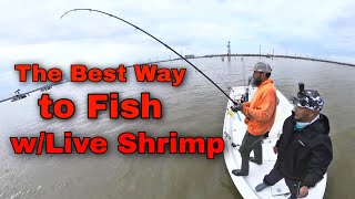 The Best Way to Fish with Live Shrimp