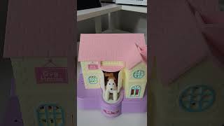 🐕🐕🐕 COIN BANK DOG HOUSE 🐕🐕🐕 #shortvideo #shorts #shortvideo #viral #trending #asmr #satisfying