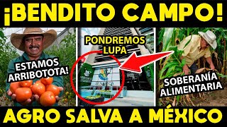 ¡BENDITO CAMPO! AGRICULTURA SALVA A MÉXICO