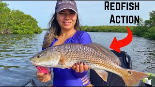 Inshore Kayak Fishing In Southwest Florida | New Website & Kayak Fishing Charters